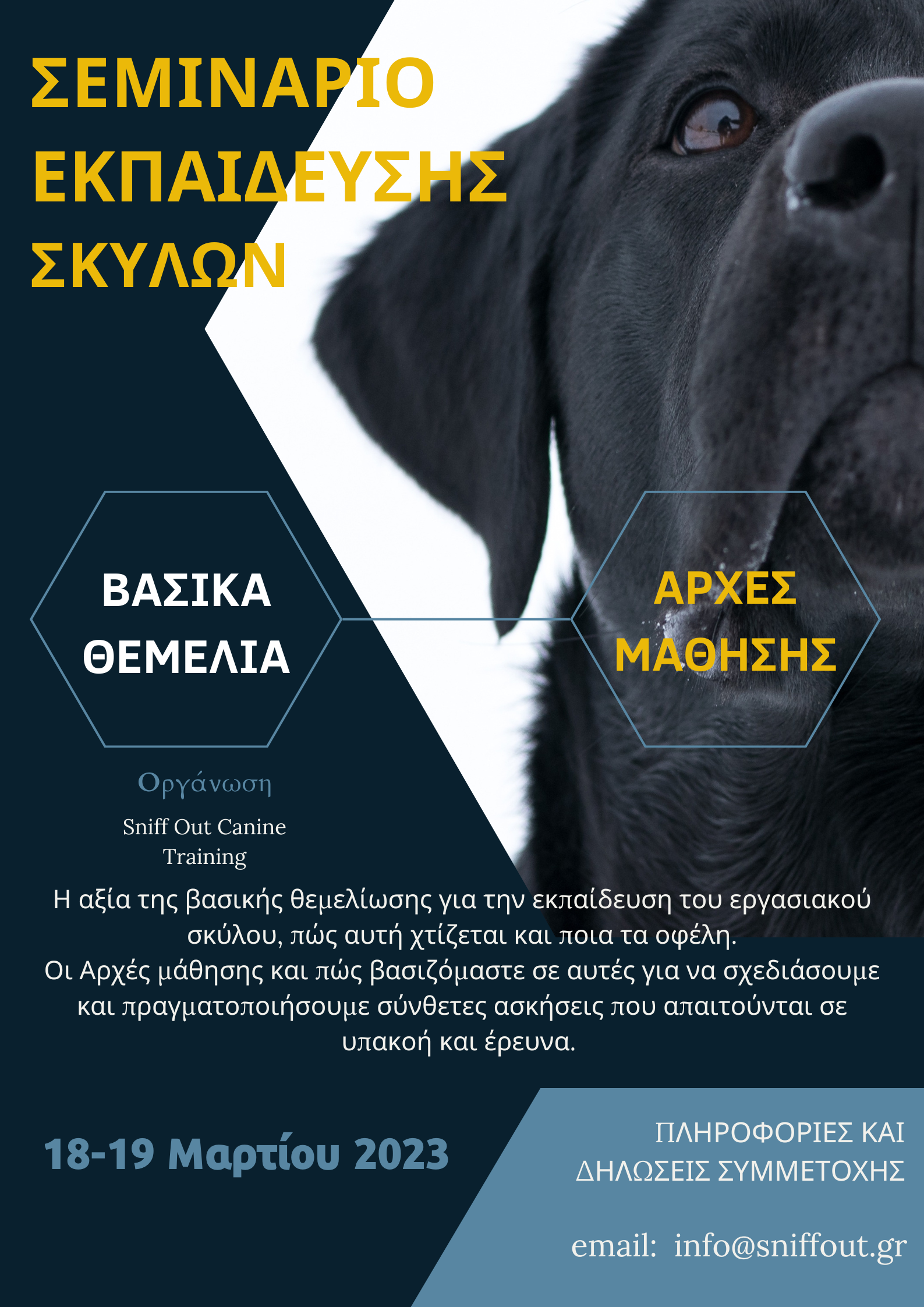 Σεμινάριο Εκπαίδευσης Σκύλων